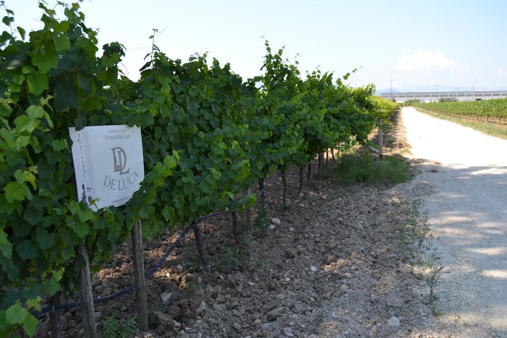 Agriturismo De Luca Mozzagrogna Экстерьер фото
