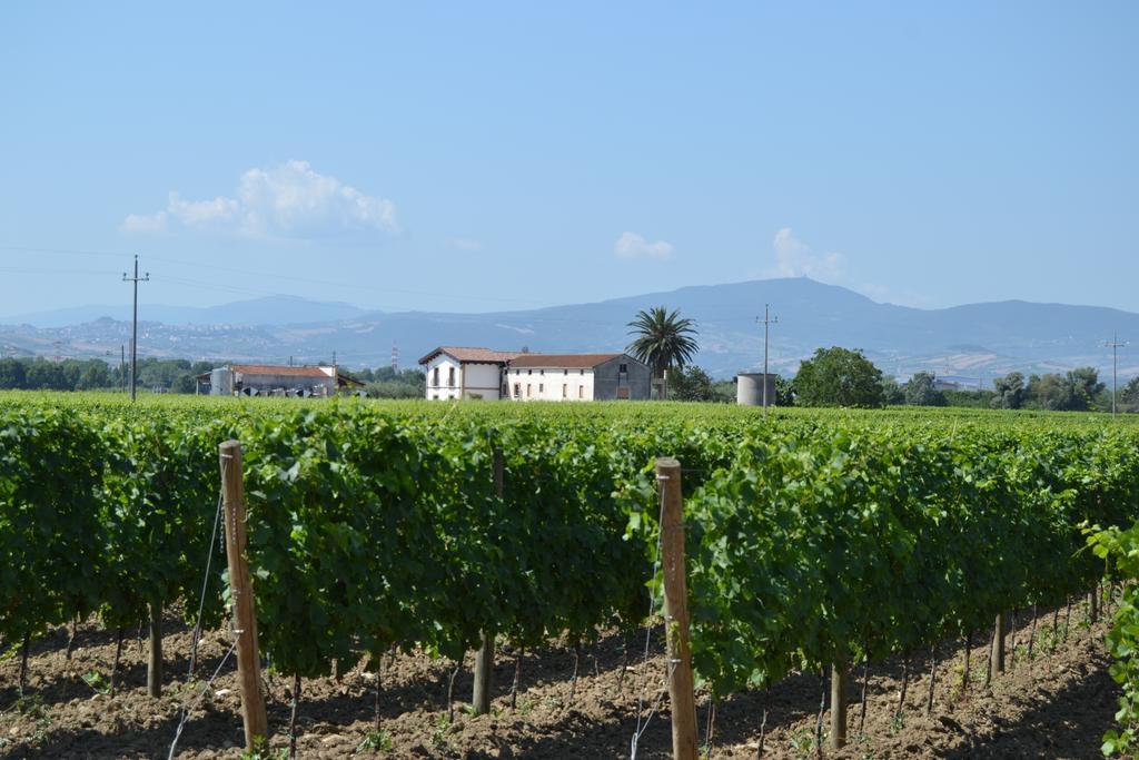Agriturismo De Luca Mozzagrogna Экстерьер фото